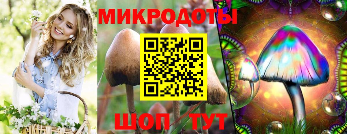 Псилоцибиновые грибы GOLDEN TEACHER Иваново